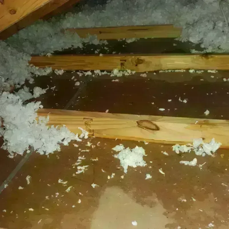 Attic Water Damage in Lewis and Clark County, MT