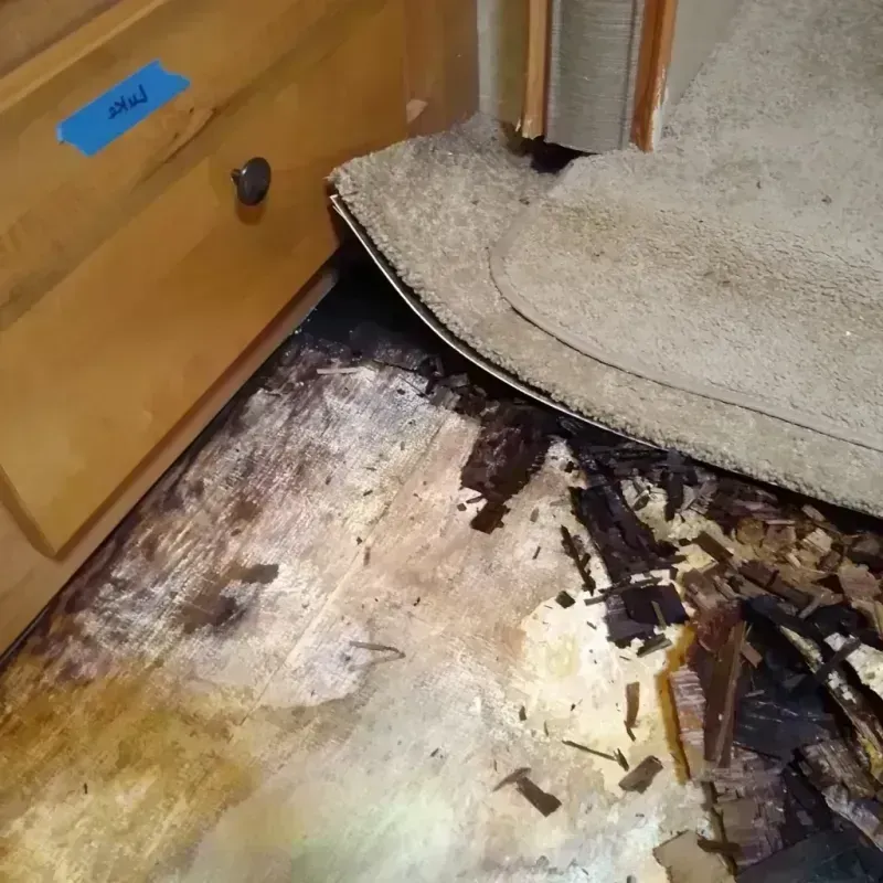 Wood Floor Water Damage in Lewis and Clark County, MT